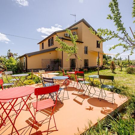 Agriturismo Bio Podere 109 - Wine&Food Alberese Exteriér fotografie